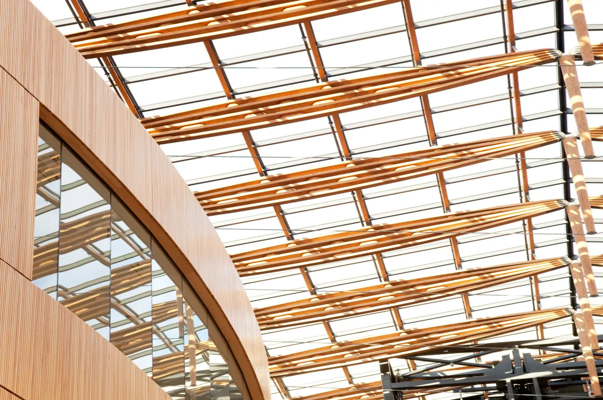 Parker Johnston - Atrium - speciality panels - ceiling